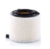 Mann Filter C 17 010